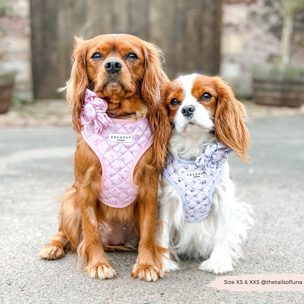 Adjustable Dog Harness product image 10