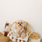Dog Hood Muffler product image 11