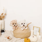 Dog Hood Muffler product image 13