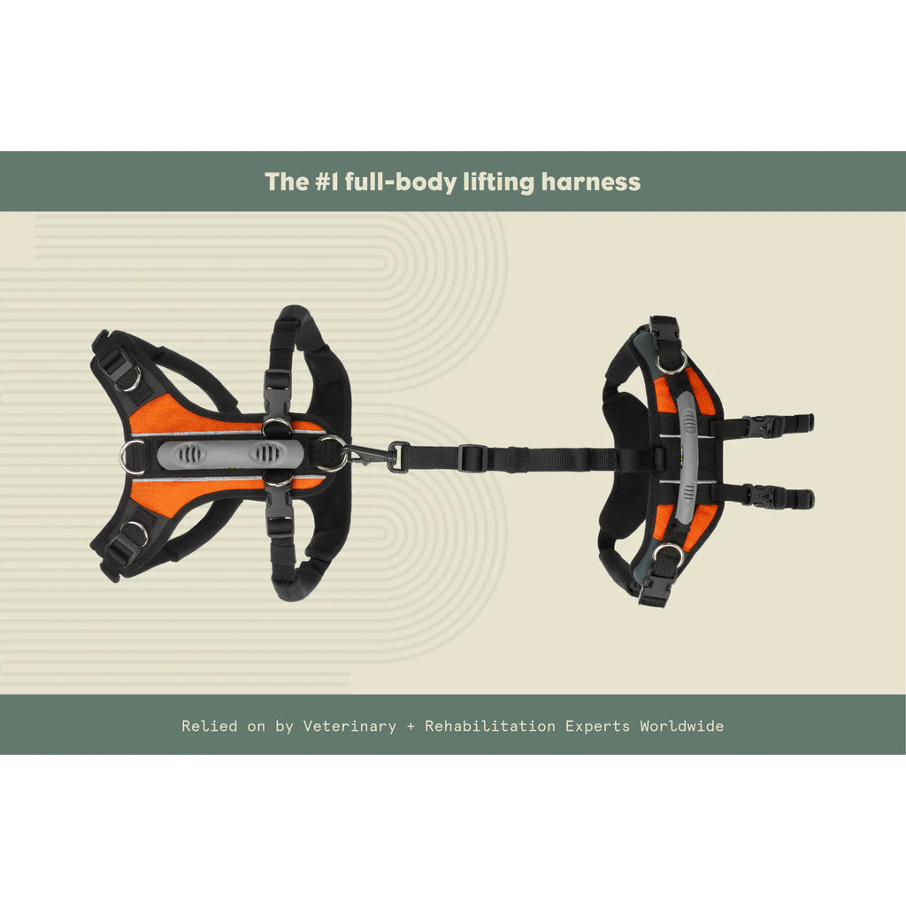 Help 'Em Up Harness product image 2