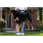 Help 'Em Up Harness product image 1