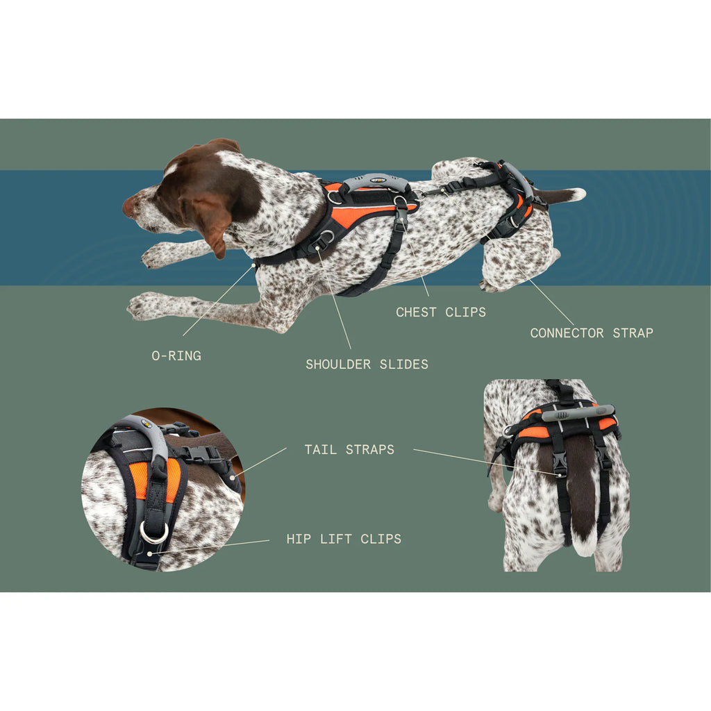 Help 'Em Up Harness product image 3