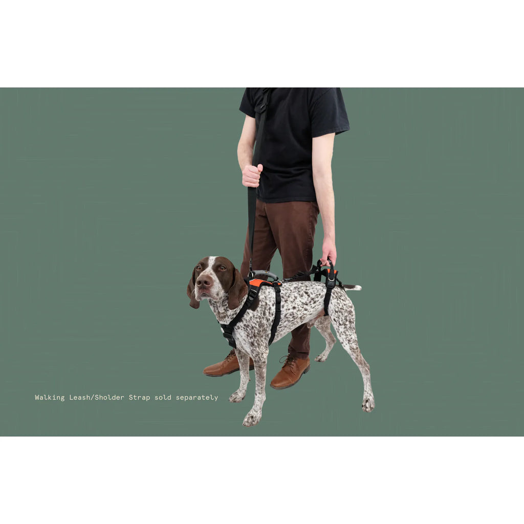 Help 'Em Up Harness product image 23