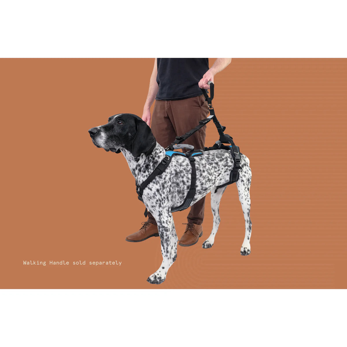 Help 'Em Up Harness product image 28