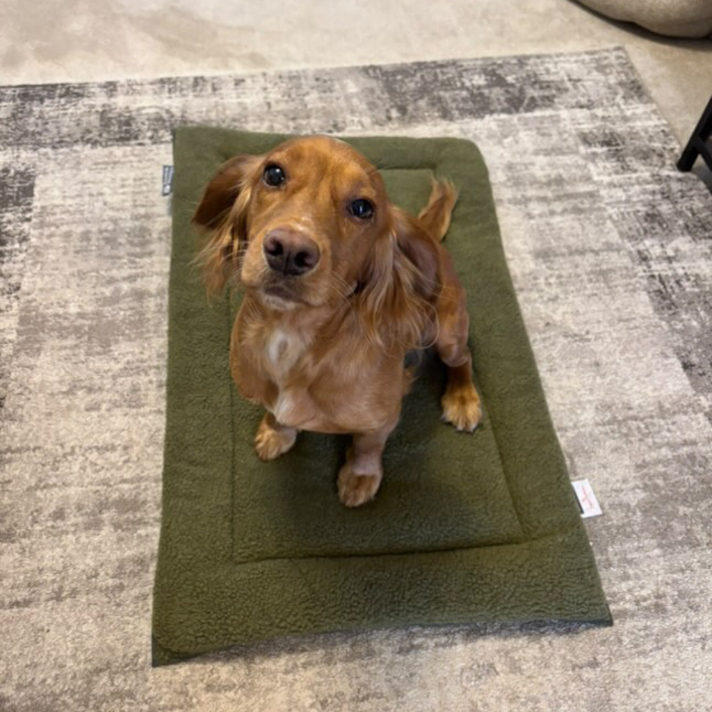 Dog Crate Mattress product image 13