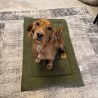 Dog Crate Mattress product image 13