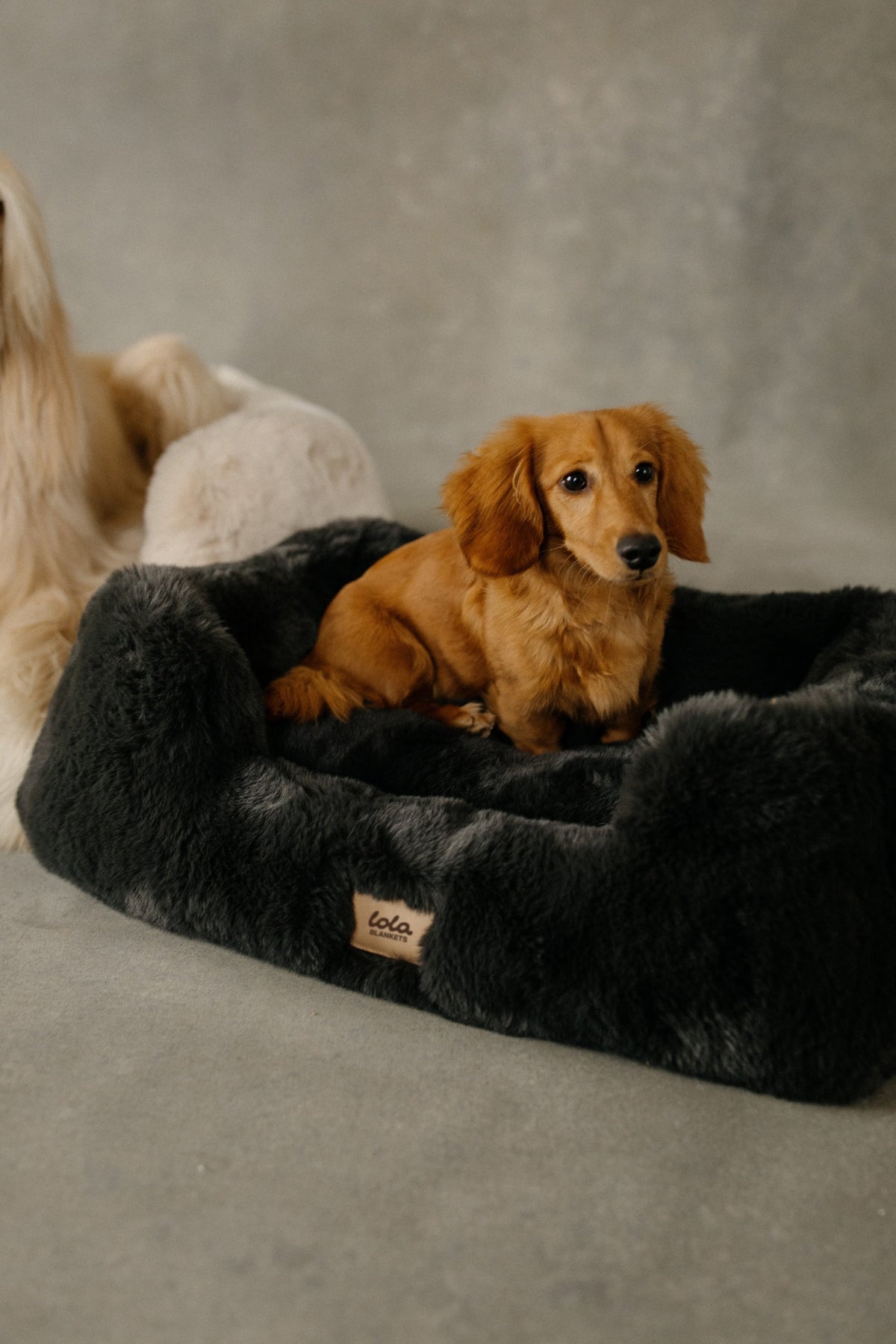 Charcoal Grey Pet Bed product image 4
