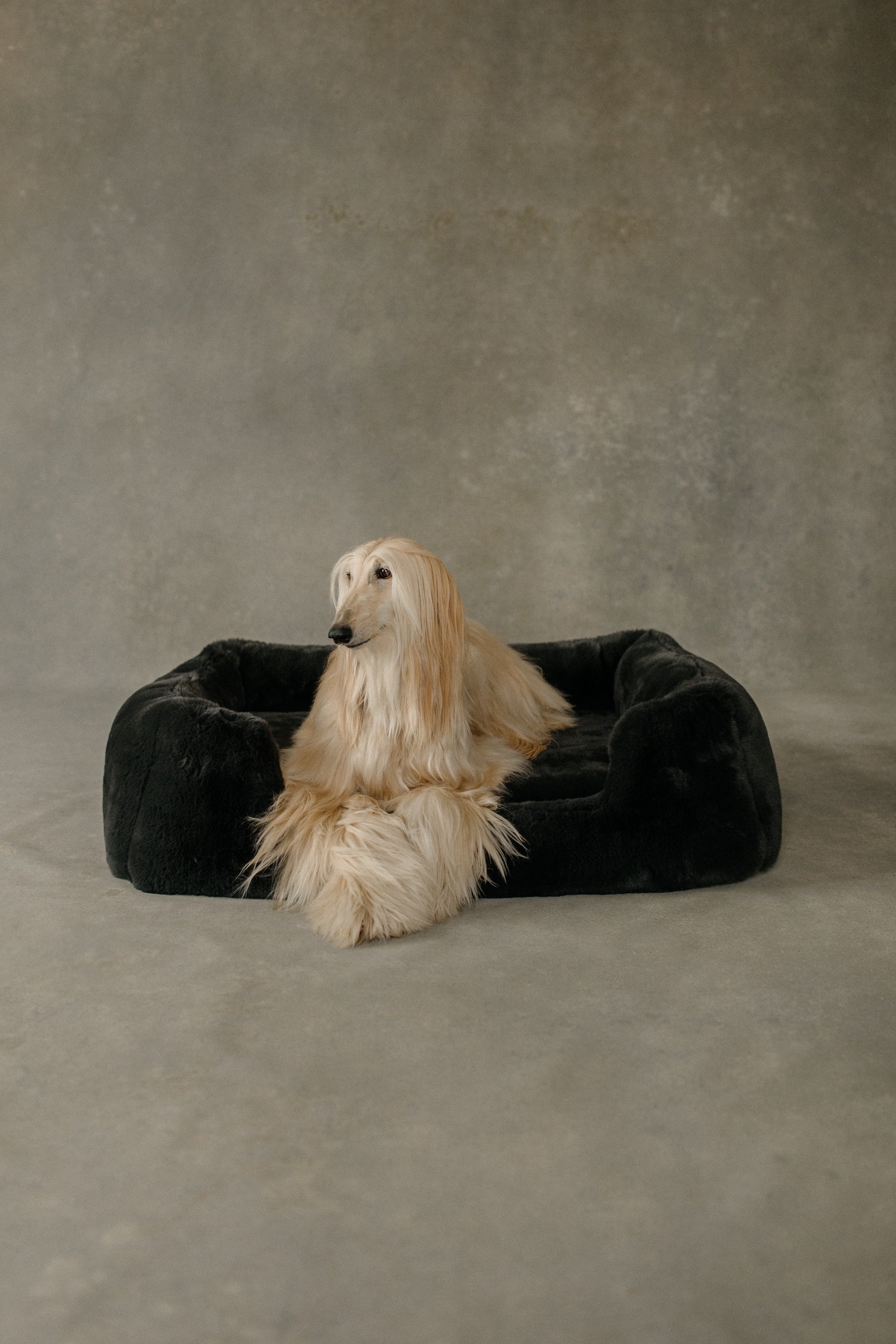 Charcoal Grey Pet Bed product image 5