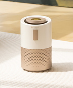 airpurifier-scene-2