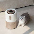 ps26-product-air-purifier-lg-1.3