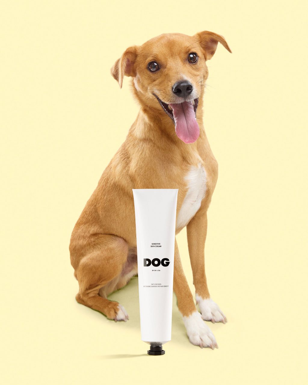 Dog Skin Cream product image 4