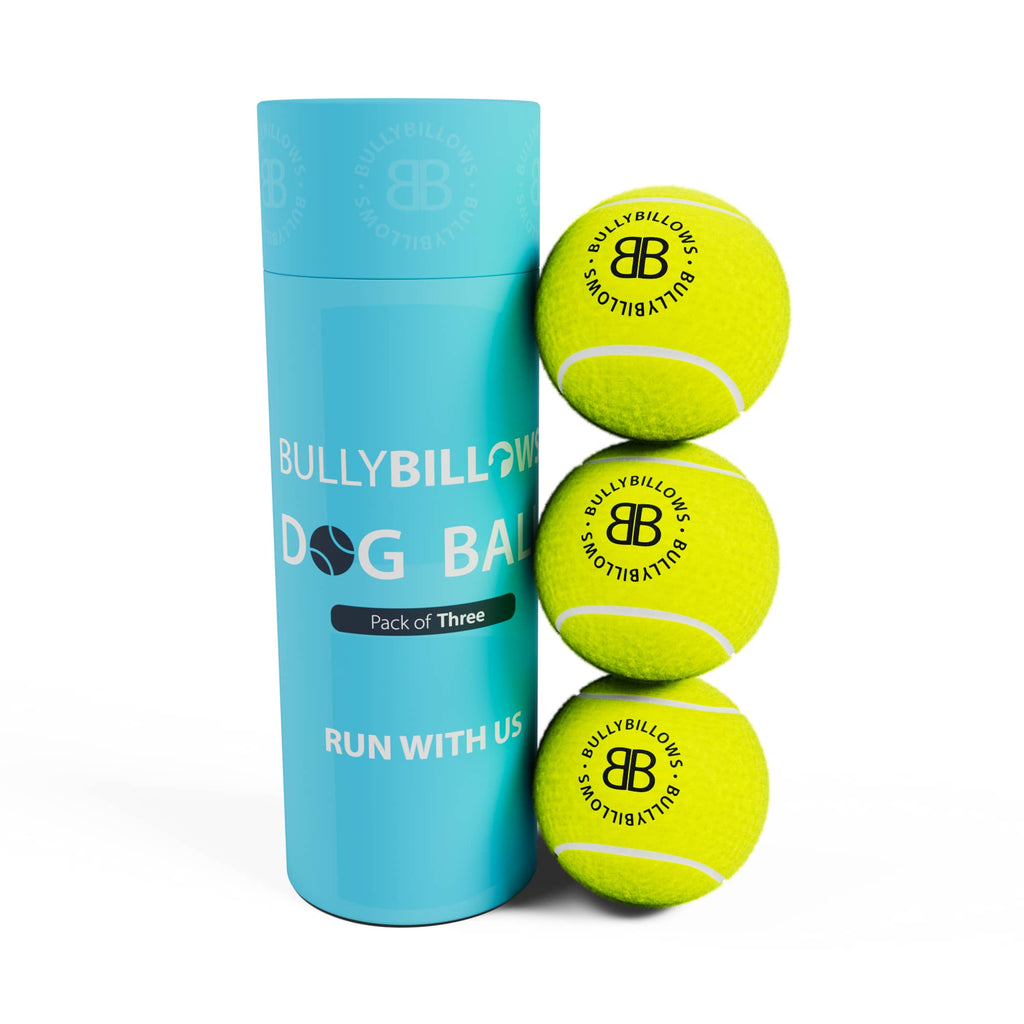 Dog Tennis Ball product image 1