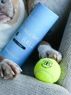 Dog Tennis Ball product image 5