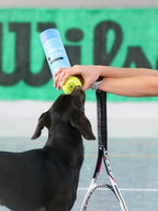 Dog Tennis Ball product image 7