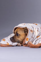 Dog Blanket product image 1