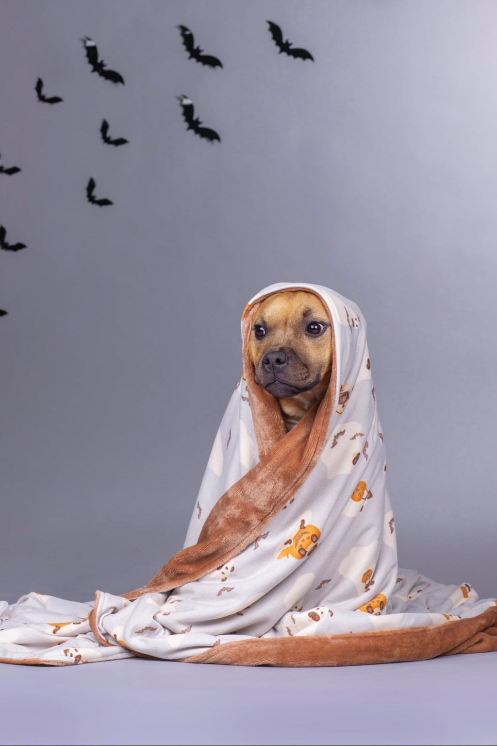 Dog Blanket product image 3