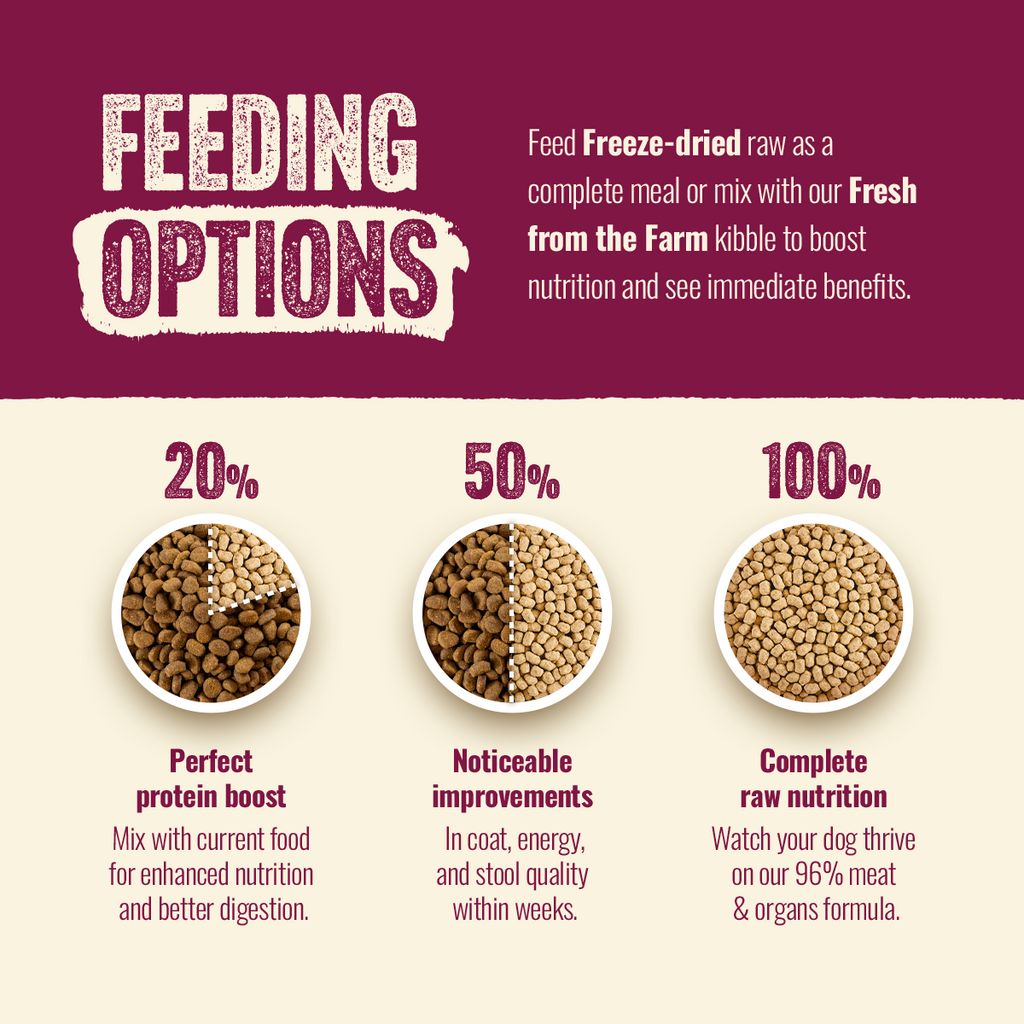 Freeze-Dried Beef and Pork Dog Food Morsels product image 6
