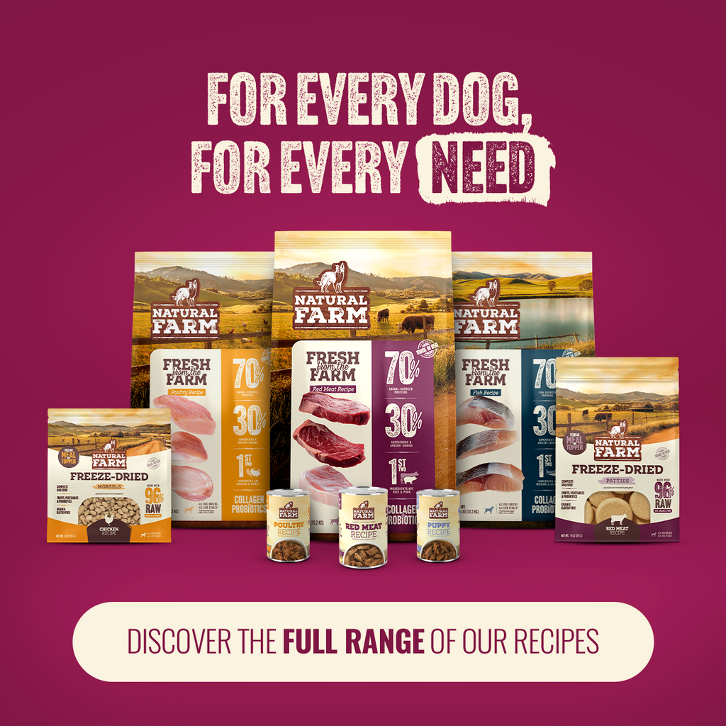 Freeze-Dried Beef and Pork Dog Food Morsels product image 10