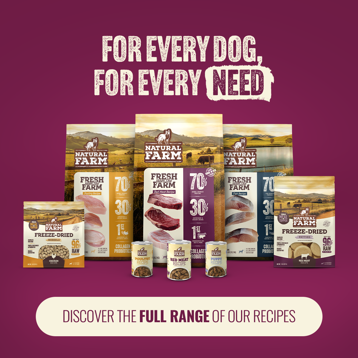 Freeze-Dried Beef and Pork Dog Food Morsels product image 10