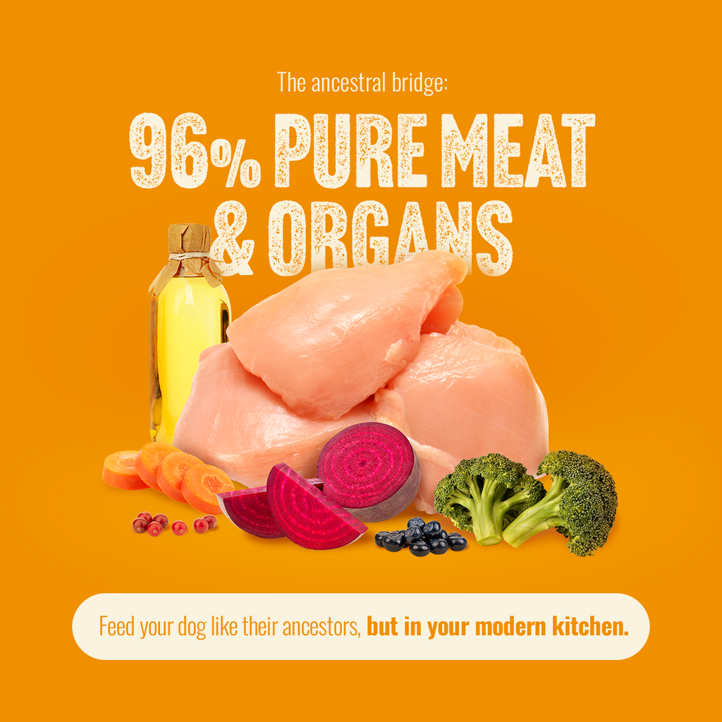Freeze-Dried Dog Food product image 3