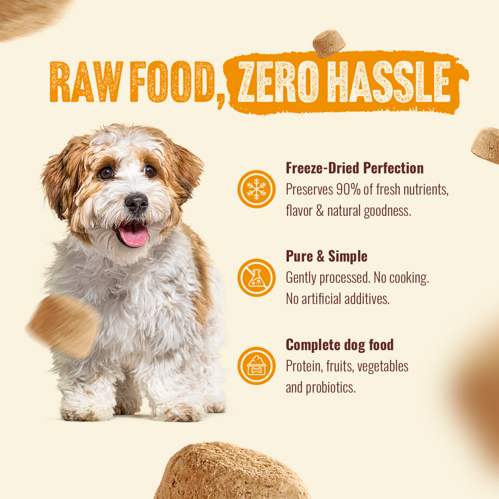 Freeze-Dried Dog Food product image 5