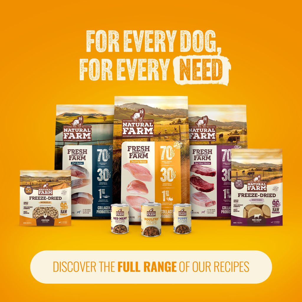 Freeze-Dried Dog Food product image 10