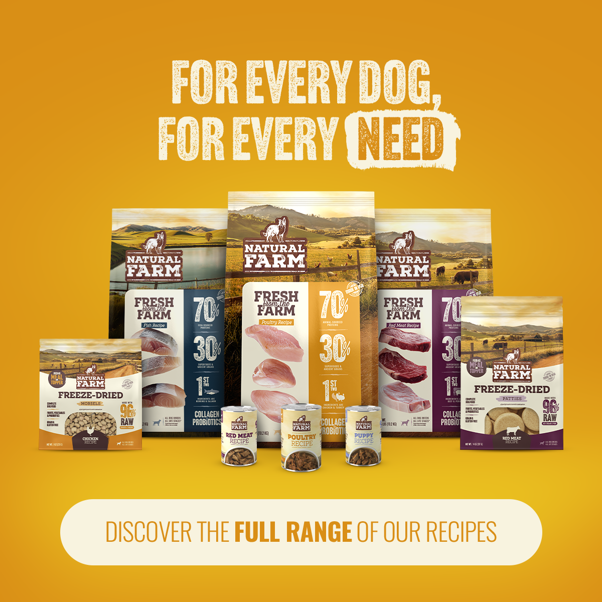 Freeze-Dried Dog Food product image 10