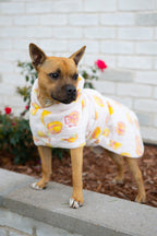 Dog Robe product image 1