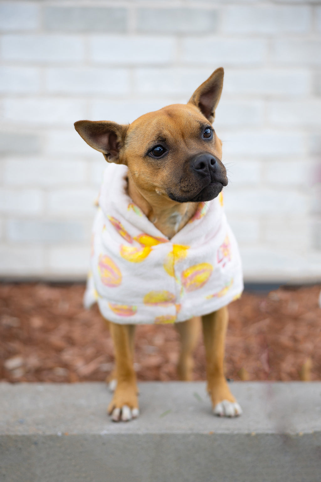 Dog Robe product image 2