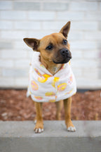 Dog Robe product image 2
