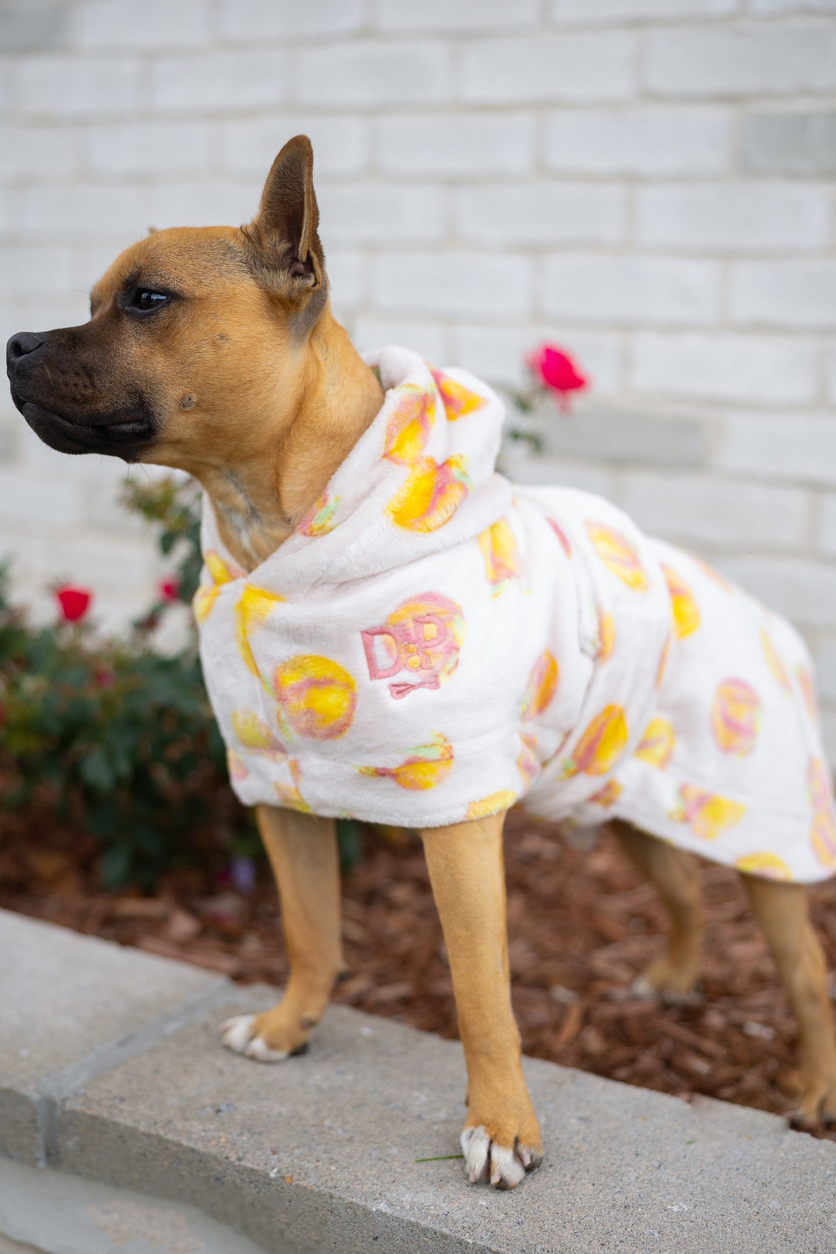 Dog Robe product image 3