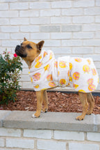 Dog Robe product image 4