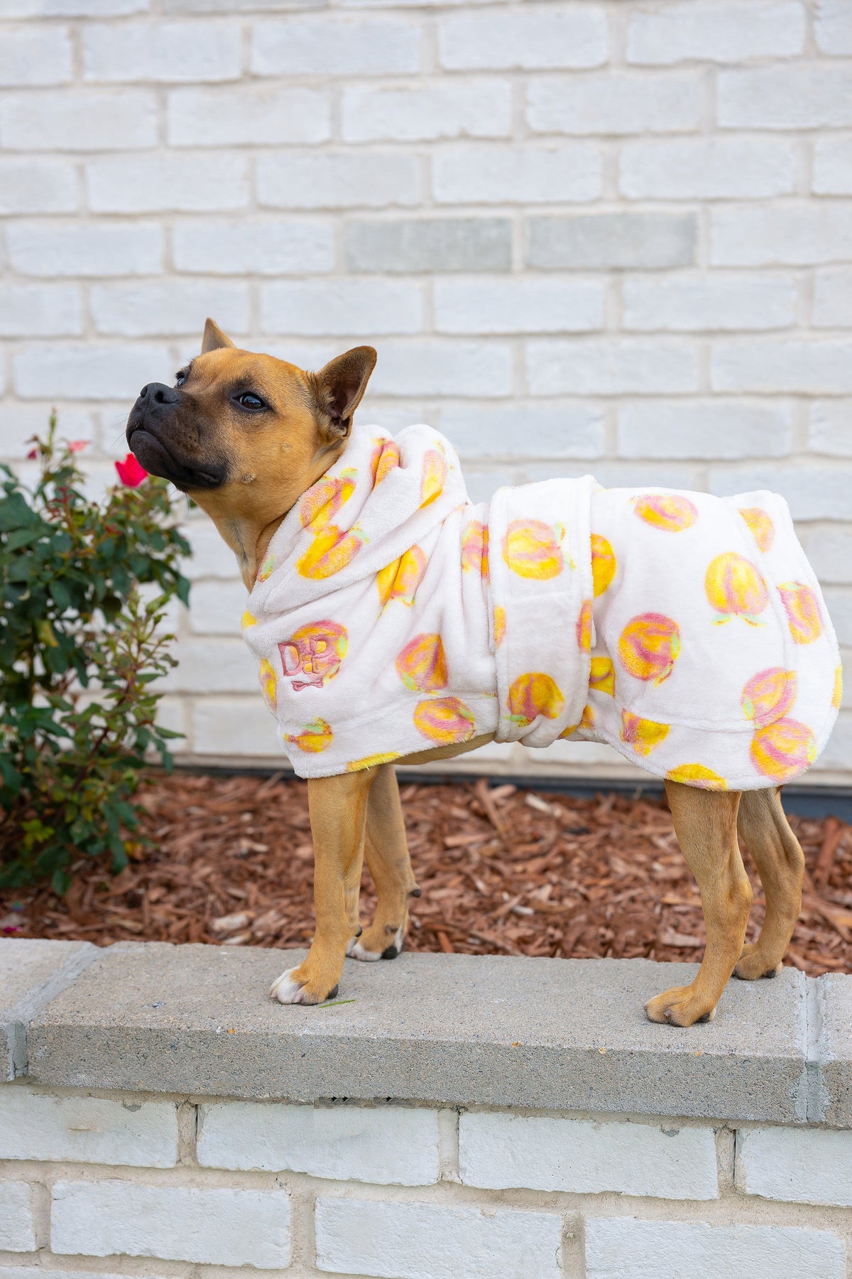 Dog Robe product image 4