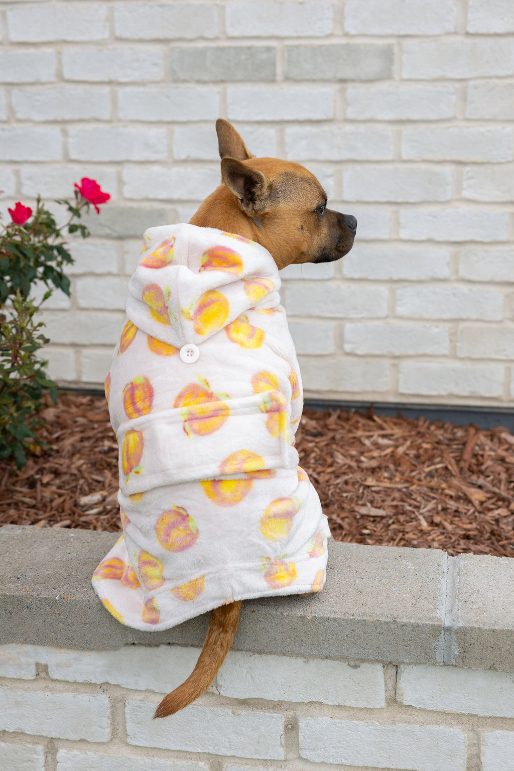 Dog Robe product image 5