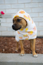 Dog Robe product image 7