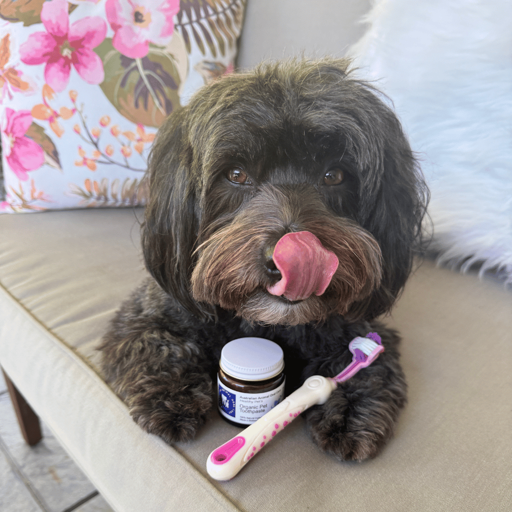 Dog Toothbrush product image 2