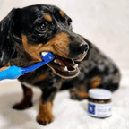 Dog Toothbrush product image 3