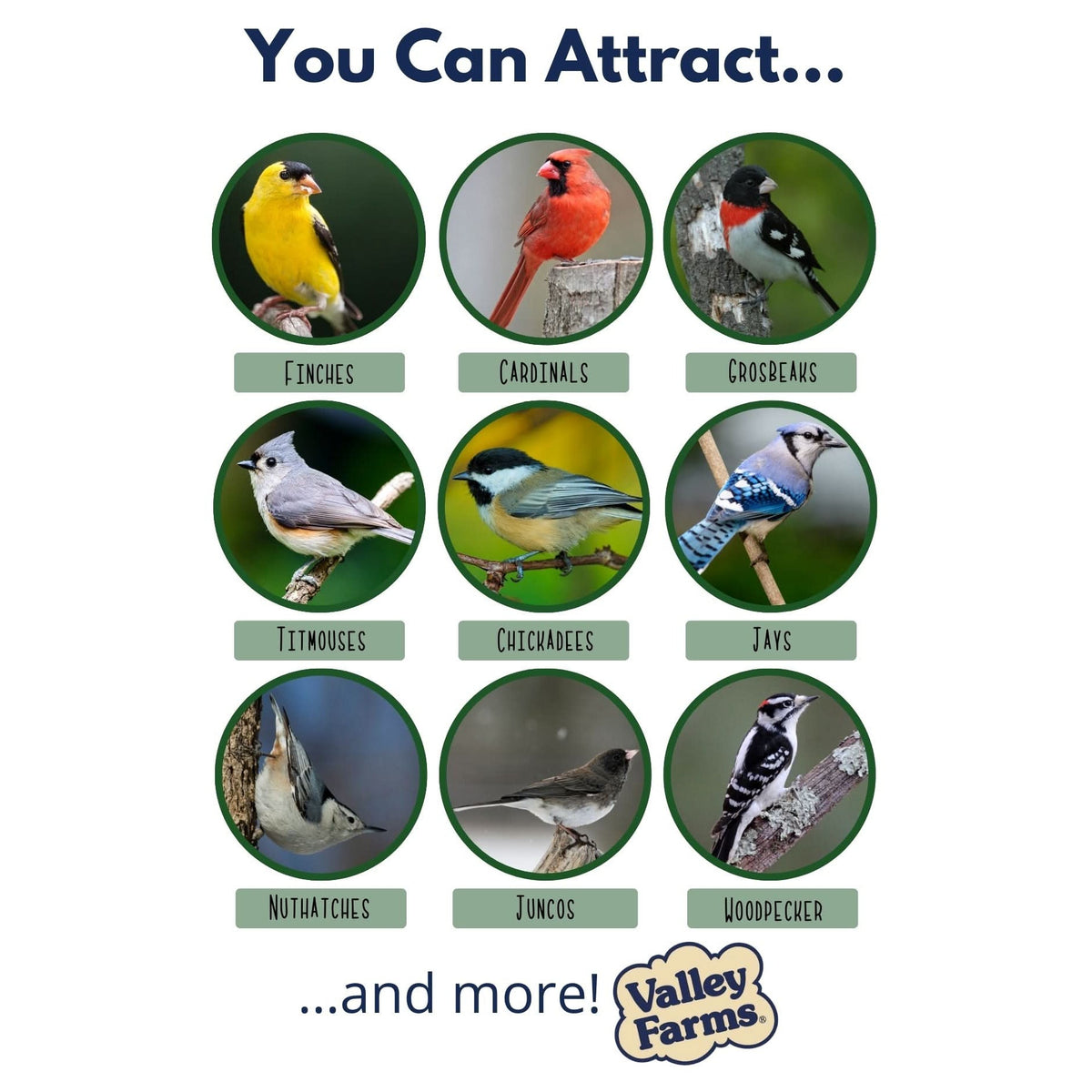 Wild Bird Food product image 3