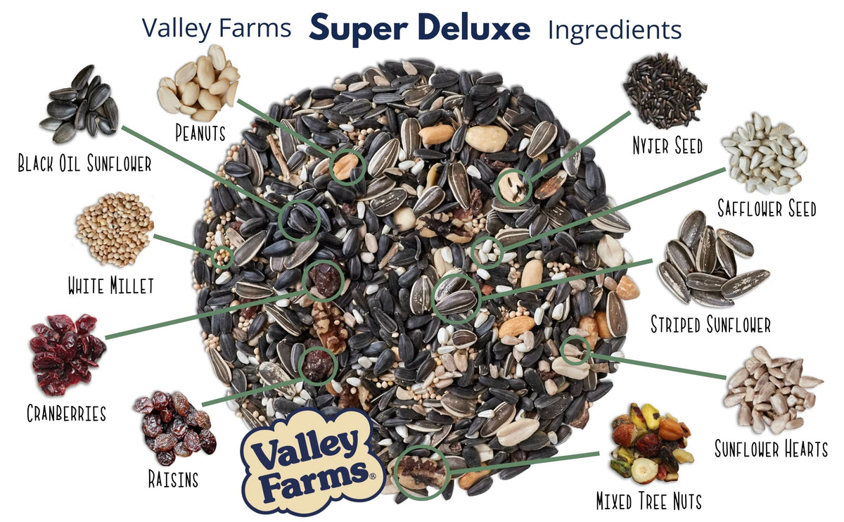 Wild Bird Food product image 5
