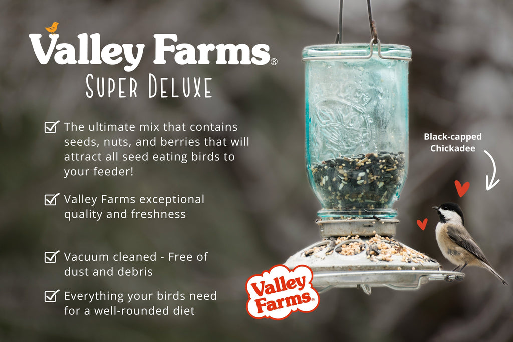 Wild Bird Food product image 6