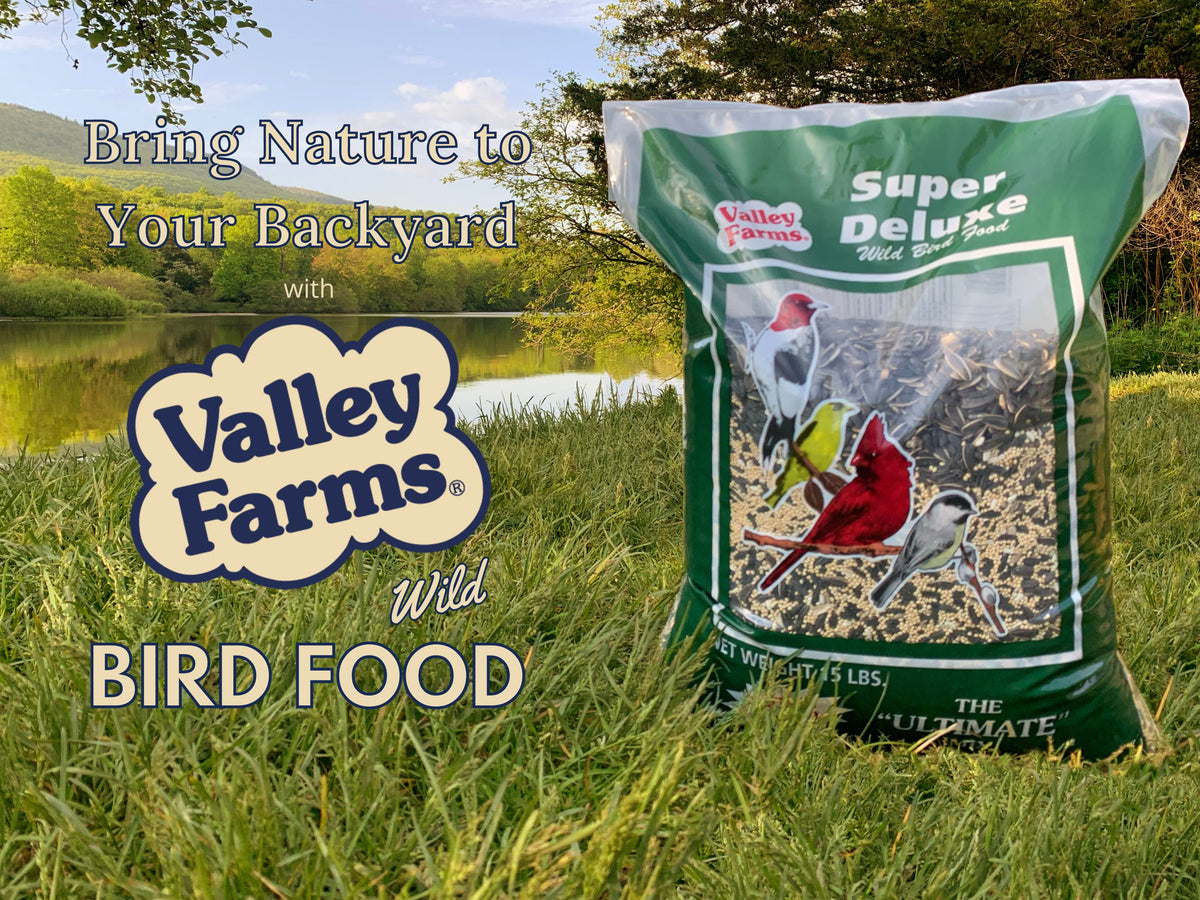 Wild Bird Food product image 9