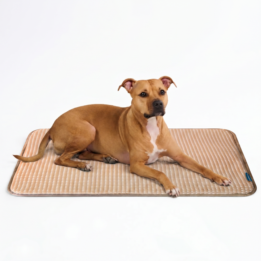 Breathable Cooling Dog Mat product image 43