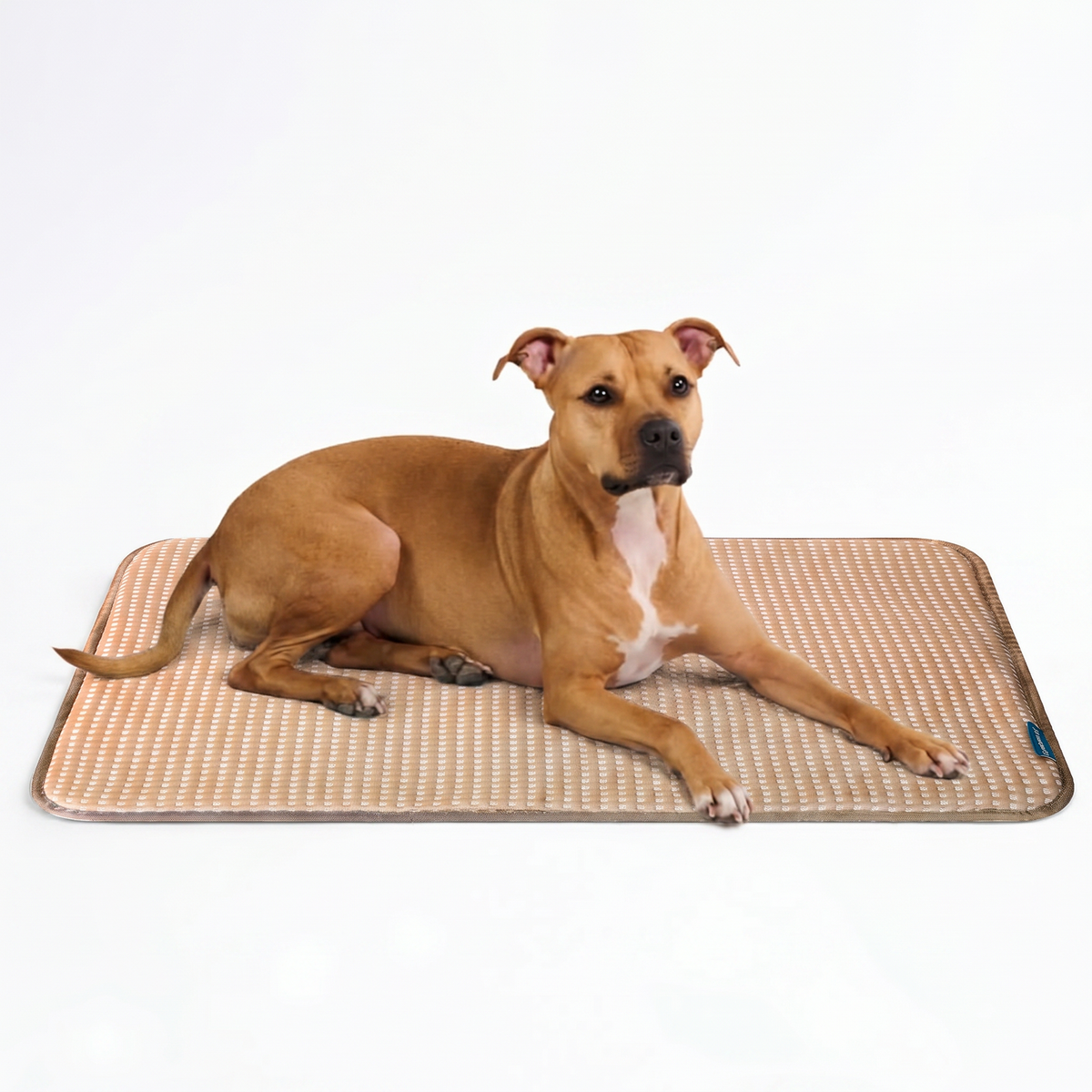 Breathable Cooling Dog Mat product image 43