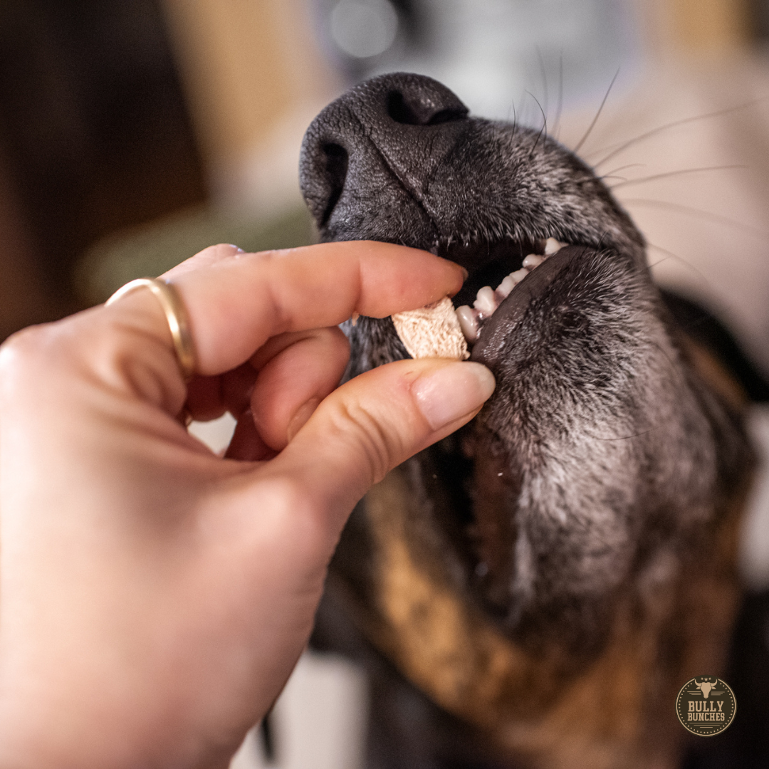 Freeze-Dried Dog Treats product image 3