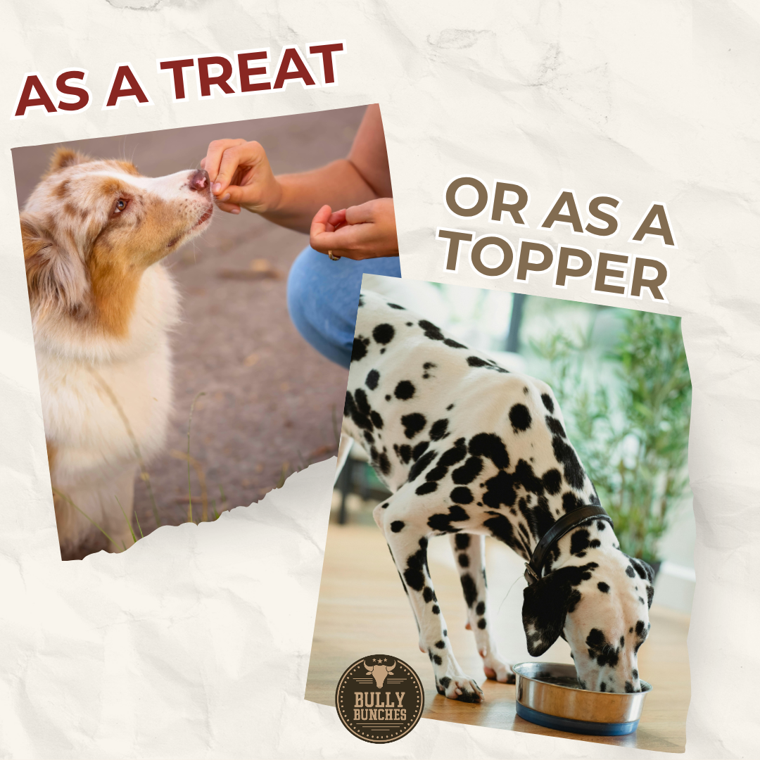Dog Treats product image 4