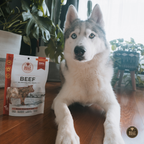 Dog Treats product image 5