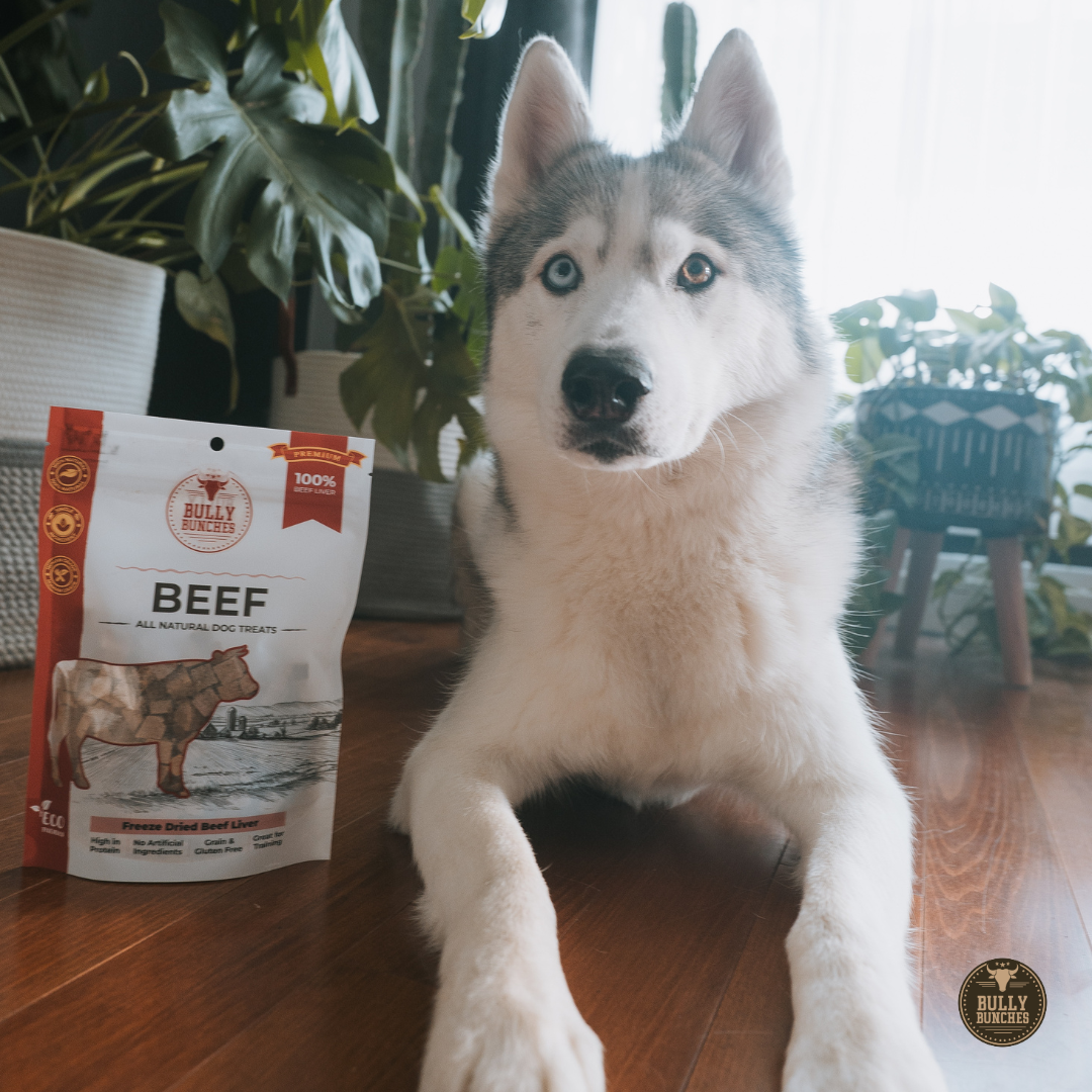Dog Treats product image 5
