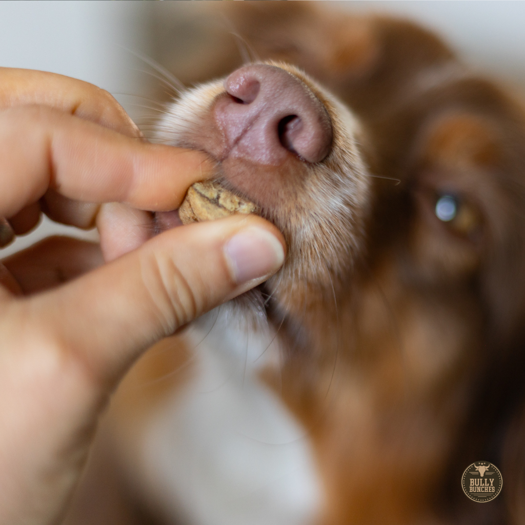 Dog Treats product image 7