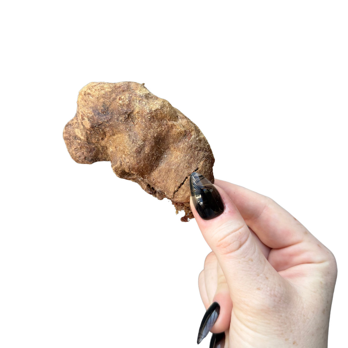 Freeze-Dried Pet Treats product image 2