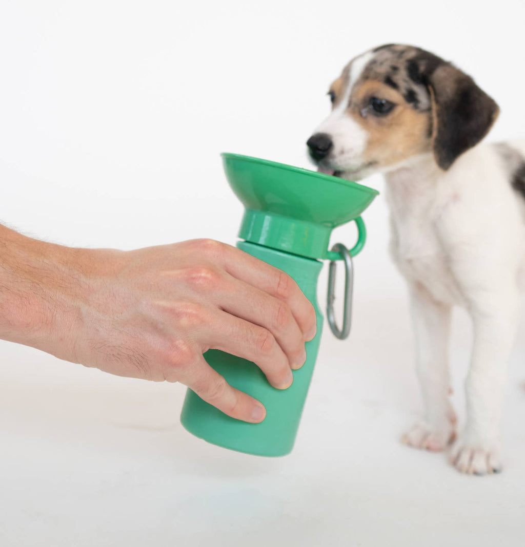 Dog Travel Water Bottle product image 2